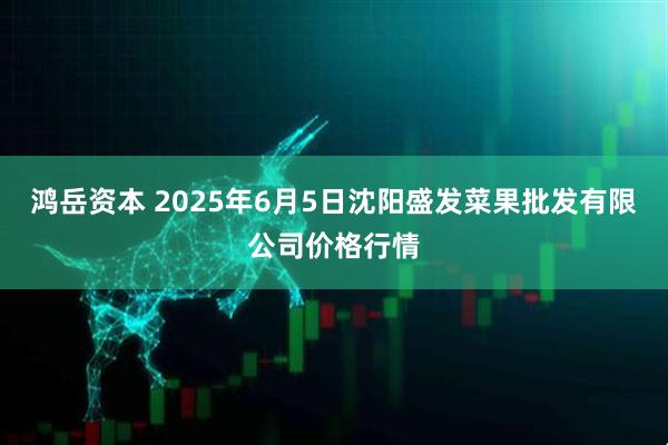 鸿岳资本 2025年6月5日沈阳盛发菜果批发有限公司价格行情