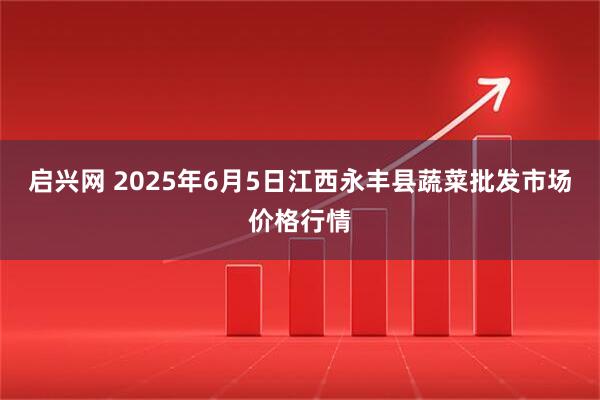 启兴网 2025年6月5日江西永丰县蔬菜批发市场价格行情