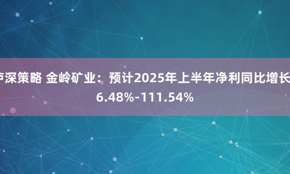 泸深策略 金岭矿业：预计2025年上半年净利同比增长66.48%-111.54%