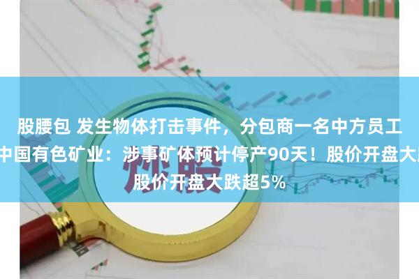 股腰包 发生物体打击事件，分包商一名中方员工身亡！中国有色矿业：涉事矿体预计停产90天！股价开盘大跌超5%