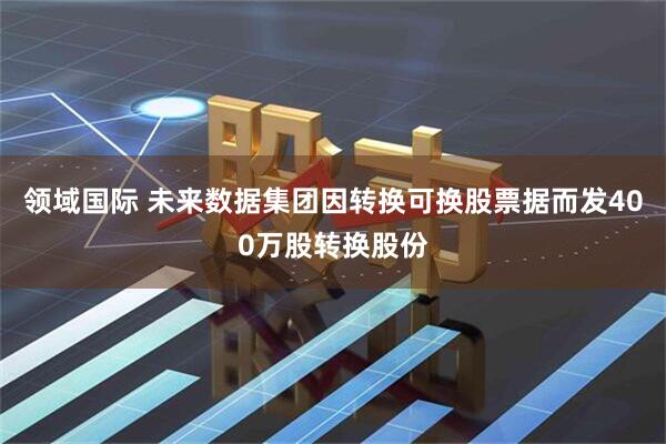 领域国际 未来数据集团因转换可换股票据而发400万股转换股份