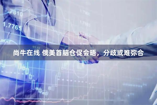 尚牛在线 俄美首脑仓促会晤，分歧或难弥合